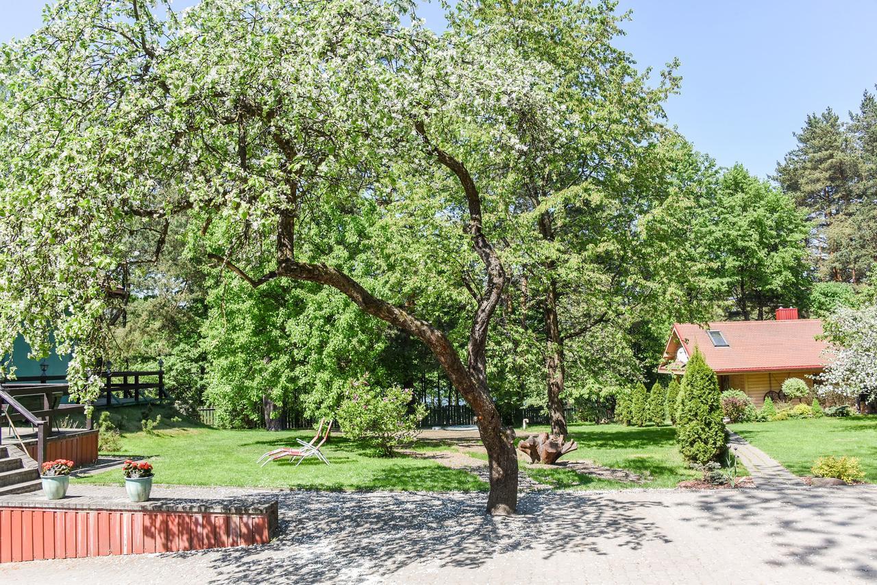 Medaus Pirtele Villa Trakai Kültér fotó